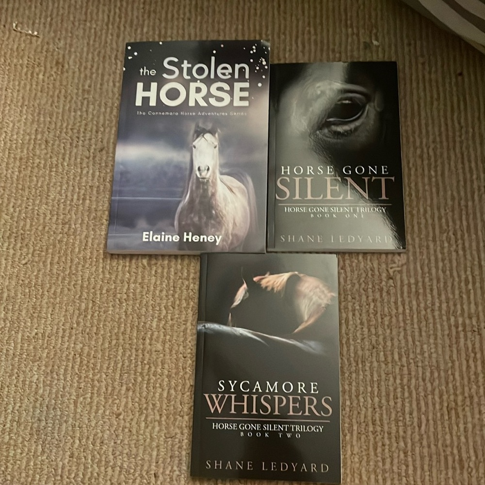 The Connemara Horse Adventure Series by Elaine Heney
